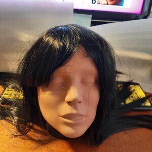 NEW Bag ! Map of Beauty 24 Inch Long Hair Straight Wig Black